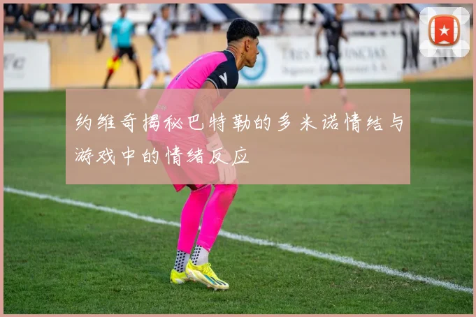 约维奇揭秘巴特勒的多米诺情结与游戏中的情绪反应
